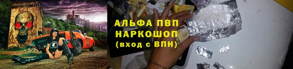 ГАЛЛЮЦИНОГЕННЫЕ ГРИБЫ Ладушкин