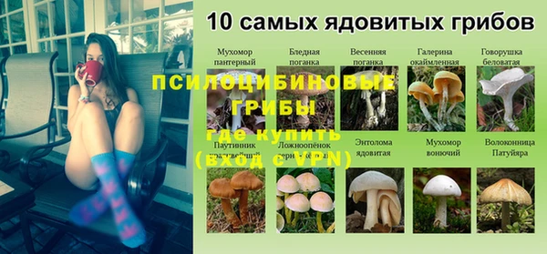прущие крисы Куйбышев