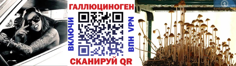 Галлюциногенные грибы прущие грибы  Купить где  Бор 