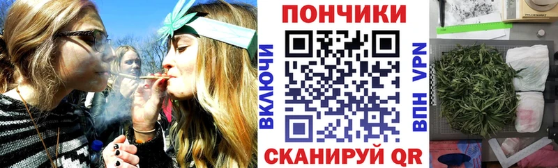 Конопля ГИДРОПОН  Купить  Бор 